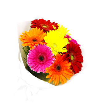 Gerbera Bright Flower Bunch