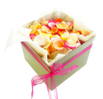 Mixed Rose Petals   Large