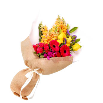 Pet Safe Radiant Botanicals