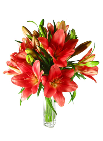 Red Lilies In A Vase