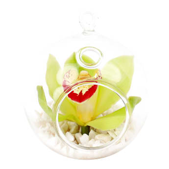 Green Orchid Orb