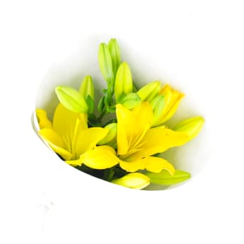 Yellow Lily Bunch