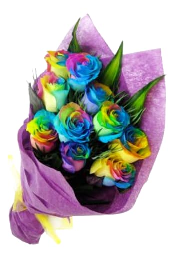 12 Rainbow Roses