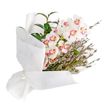 Cymbidium Paradise Bouquet