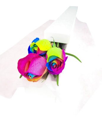 Rainbow Rose Trio