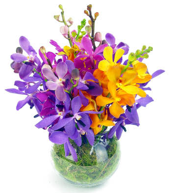 Orchid Fish Bowl Flower Arrangement