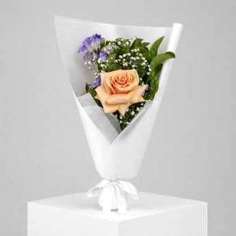 Daily Bouquet - Peach velvet with lavender lift