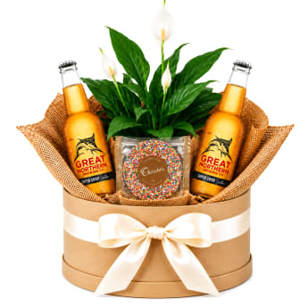 🍺🌿 Peace Lily & Beer O’clock Plant Hamper 🌿🍺