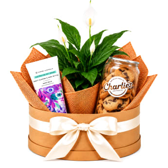 🤍🍪 Peace Lily & Bikkie Bliss Plant Hamper 🍪🤍