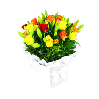 Plush Roses & Lilies Flower Box