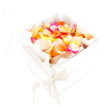 Mixed Rose Petals   Large
