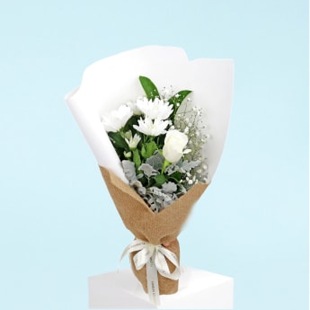 Delicate White Cascade