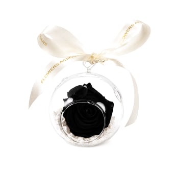 Preserved Orb