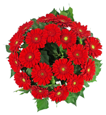 Daisy Chain Wreath