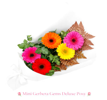 Mini Gerbera Gems Posy