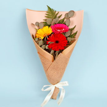Gerbera Gems Posy