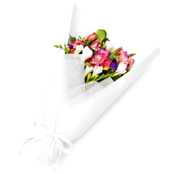Freesia Frenzy