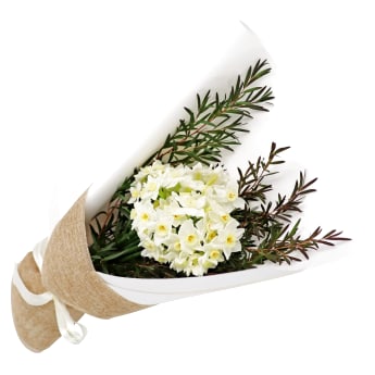 Erlicheer Posy