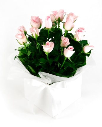 Bliss Pink Rose Flower Box