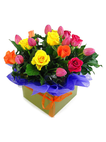 Roses And Tulips