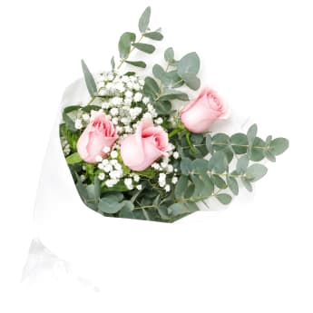 Rambling Roses
