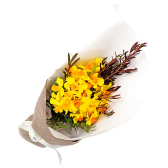 Little Jonquils