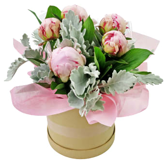 Pretty As A Peony