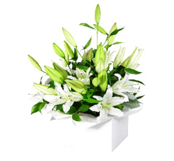 Pure Elegance White Lily Flower Box