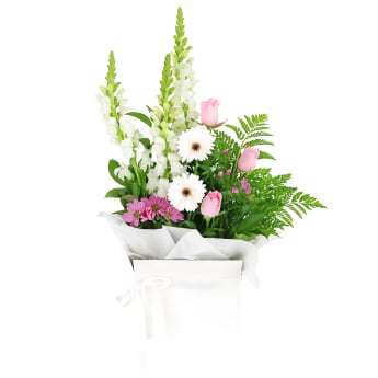 Pastel Passion Bloom Box