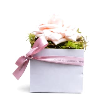 Rosie Bloom – Single Rose Mini Box Arrangement