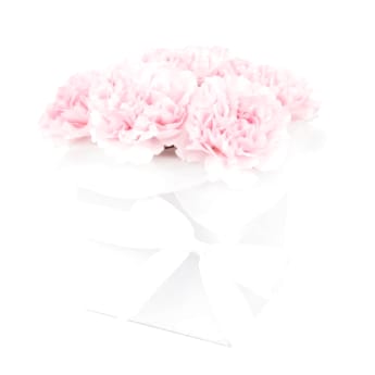 Little Carnation Flower Box – Mixed Colours