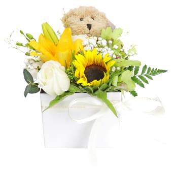 Cuddles & Blooms
