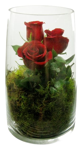 Under Your Spell Rose Glass Vase