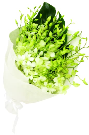 White Orchid Bunch
