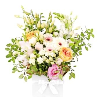 Pawsitively Pastel Bloom Box