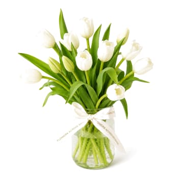 Terrific Tulips