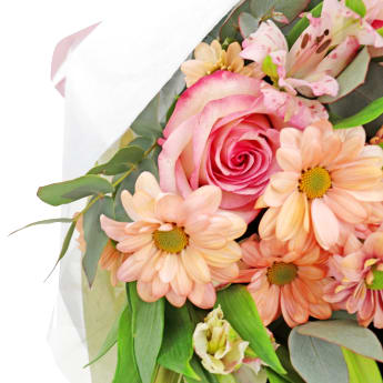 Surprise Deluxe Flowers