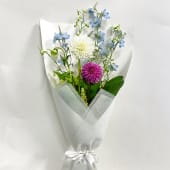 Daily Bouquet  6 Feb, 2026