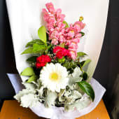 Daily Bouquet 27 Feb, 2026