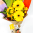 Daily Bouquet 21 Jun, 2025