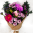 Daily Bouquet Pink Petals of Delight