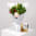 Daily Bouquet - Blush bloom and biscuit cheers