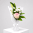 Daily Bouquet - Blush cloud and green lift