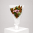 Daily Bouquet - Pink lisianthus and magnolia contrast