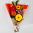 Daily Bouquet 20 Jun, 2025