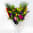 Daily Bouquet Radiant Reverie