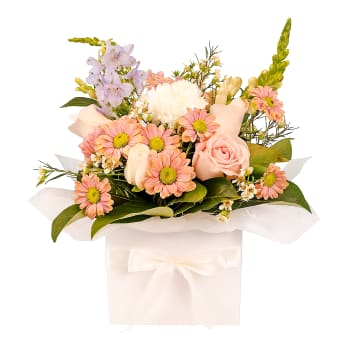 Florist Choice Pastel Box 