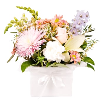 Florist Choice Pastel Box 