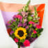 Daily Bouquet Sunlit Harmony