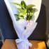 Daily Bouquet — Snapdragons, Disbuds & Quiet Elegance